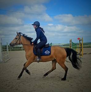 Ponette connemara origines sport