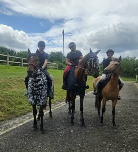 Petit cheval oc 3 ans polyvalent