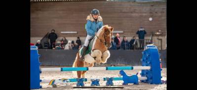 Castrone shetland in vendita 2012 pezzato