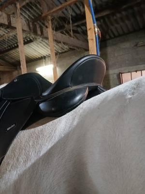 Selle wintec 500 caire 16,5