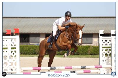 Jument cso adorable sf 165cm