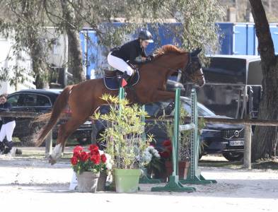 Hongre sf 10 ans cso amateur