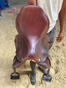Selle cwd 17,5
