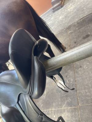 Sella da dressage antarès  17