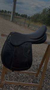 Selle norton 17