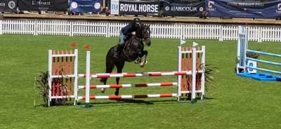 Cheval cso 
