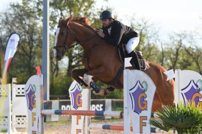 Gentil selle français d’obstacle amateur 