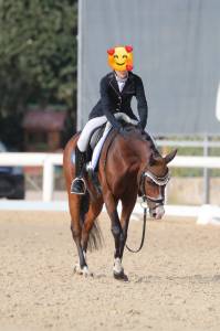 Pony da dressage in vendita