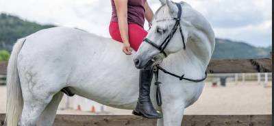 Pony sella inglese - completo- 14 anni 