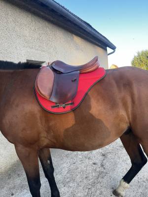 Selle de cso artisanale 17 pouces