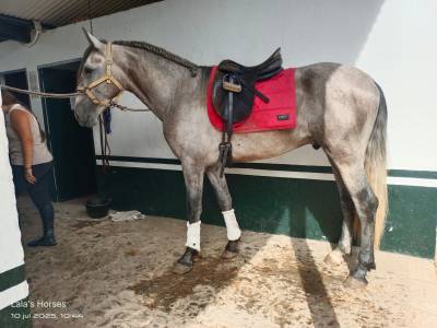 Amazing  3 years old p.r.e. 