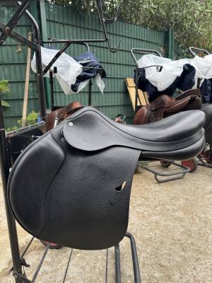 Sella mista equipe  17.5