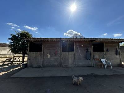 Domaine équestre sur 3 ha