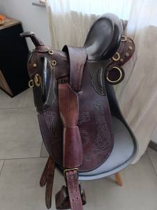 Selle australienne 