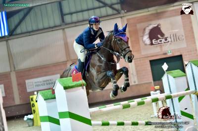 Cavalla baia kwpn olandese del 2011, 168cm al garrese.