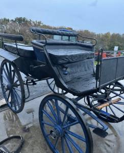 Carriage - Calèche - Other brand -  