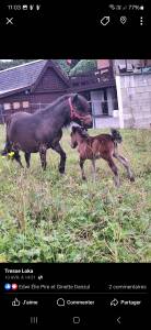 Ponette 18 ans 