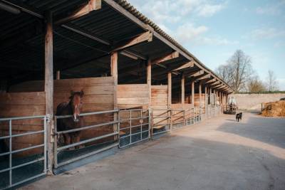 Les ecuries de balagny 