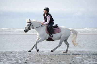 Ponette polyvalente 1m15