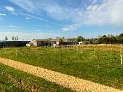 Magnifique domaine equestre en touraine