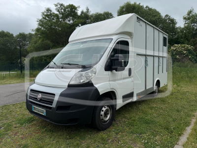 Fiat ducato – 2015 – 3 places – stalle – 68 000km