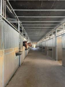 Proprietà equestre in vendita morbihan