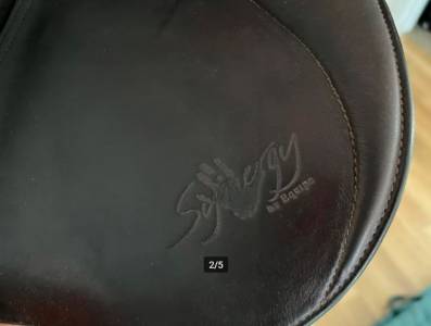 Selle equipe Synergy
