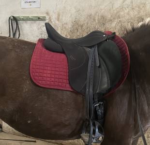Sella mista wintec  16.5