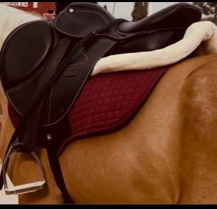 Vendo montura de salto con salvacruces y sudadero