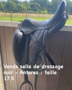 Selle de dressage noir 17.5 antares 