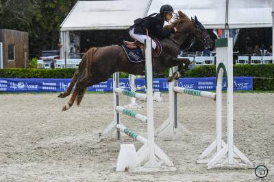 Semental pfs poni françés de silla en venta 2013 pelo de vaca por ulk d'été