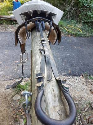 Vend selle iberique