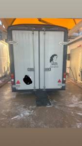 Trailer cheval liberté  3 cavalli 2013 occasione