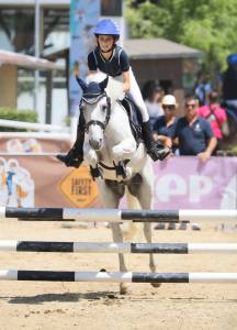 Hongre autre race de poney a vendre 2012 gris