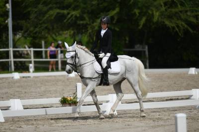 Pony sportivo italiano di 13 anni (h137)