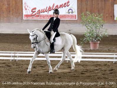 Pony sportivo italiano di 13 anni (h137)