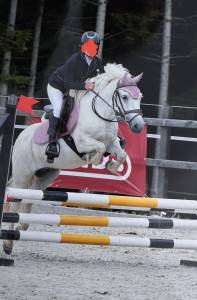 Gelding No Origin Recorded For sale 2018 White