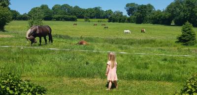 DUNCAN D'ESMOLES  - Origin Recorded 2014