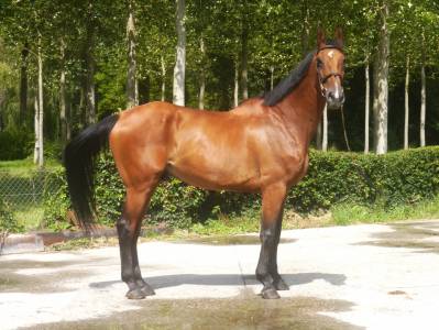Express de ligny