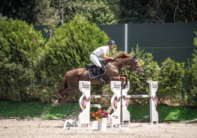 Caballo salto de obstáculos