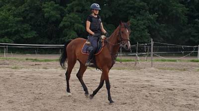 Mooie, jonge ruin - recent gekeurd