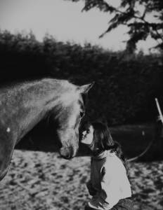 Lief paard zoekt nieuw huis