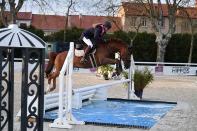 Hongre pfs 6 ans – 1m47 – idéal as poney