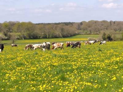 EXPLOITATION AGRICOLE, gros potentiel, à reprendre