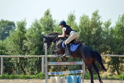 Pony Esperia vendo 