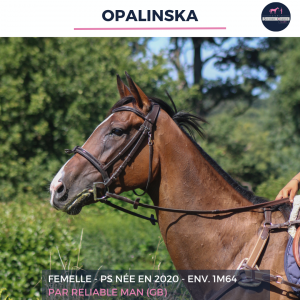 Opalinska - ps - 5 ans