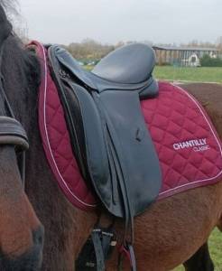 Selle dressage ronzon 17,5