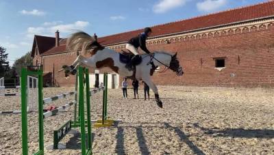 Guest Star du Valya - Selle Français 2016