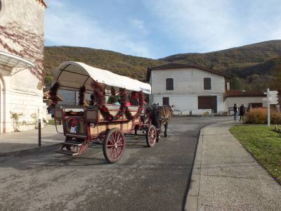 vente Wagonnette