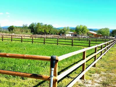 Stableman - Permanent contract Full time - Vaucluse France